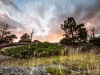 Black Hills Sunset