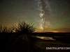 Yucca and Milky Way