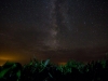 Milky Way and Corn