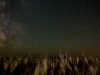 Wheat and Milky Way