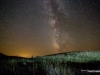 Whitetail Deer and Milky Way