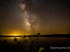 Milky Way and Sunflowers