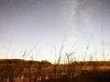 Temporal Distortion still frame